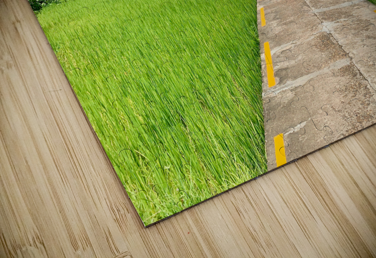 Don Khon Island Temple Laos Jimmy Roy Photos Puzzle