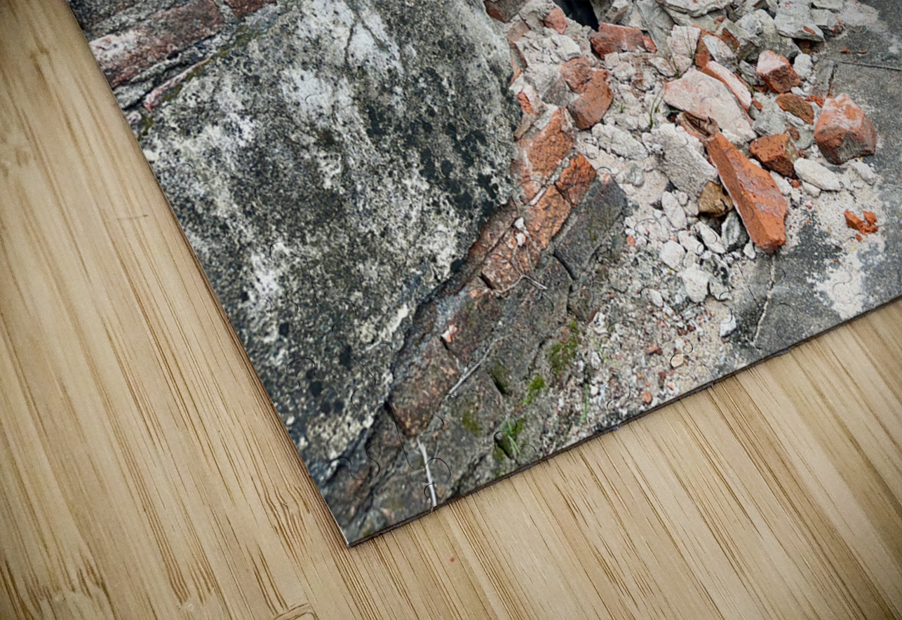 Another Brick in the Wall Jimmy Roy Photos Puzzle