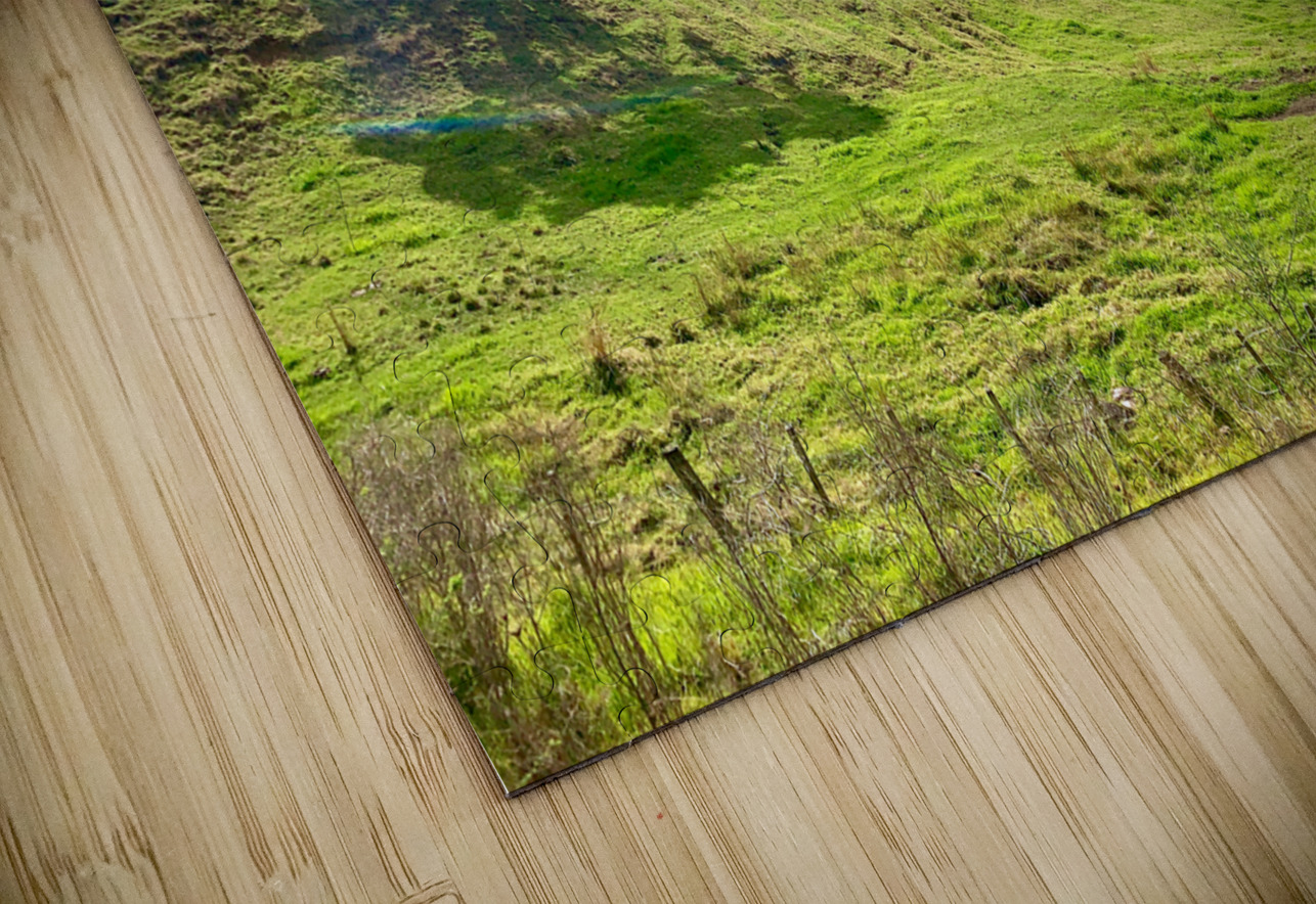 Beautiful Scenery Jimmy Roy Photos Puzzle