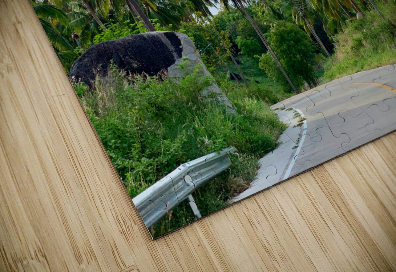 Palm Tree Road Jimmy Roy Photos Puzzle