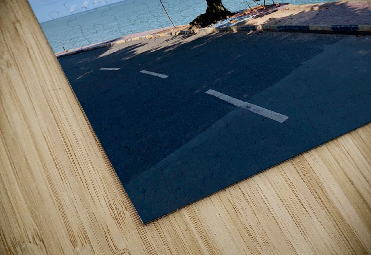 Tree in the Curve Jimmy Roy Photos Puzzle