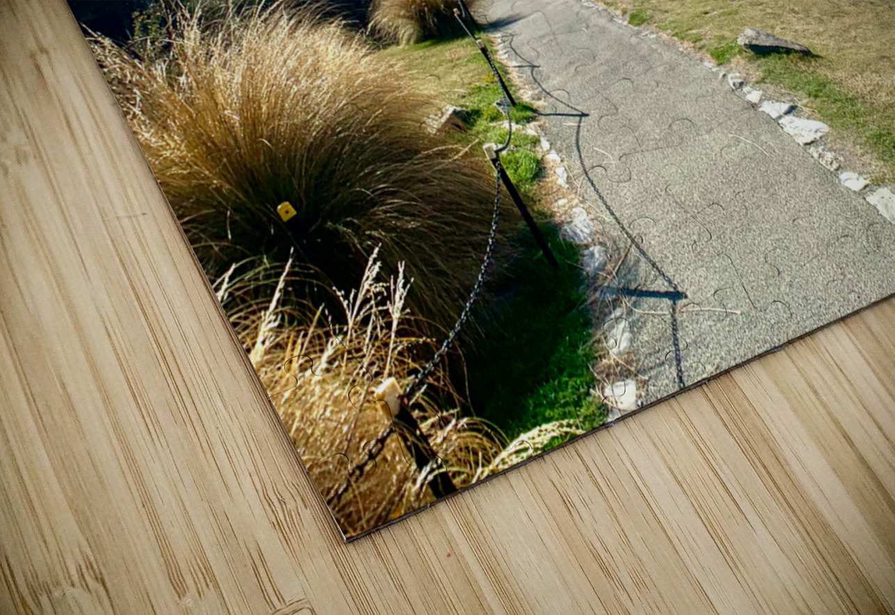 The Path to the Amazing Sky Jimmy Roy Photos Puzzle