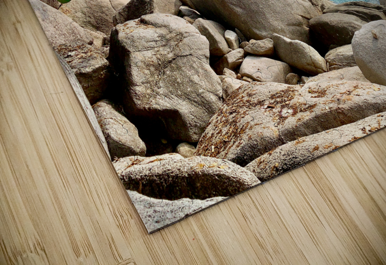 View on the Ocean Jimmy Roy Photos Puzzle