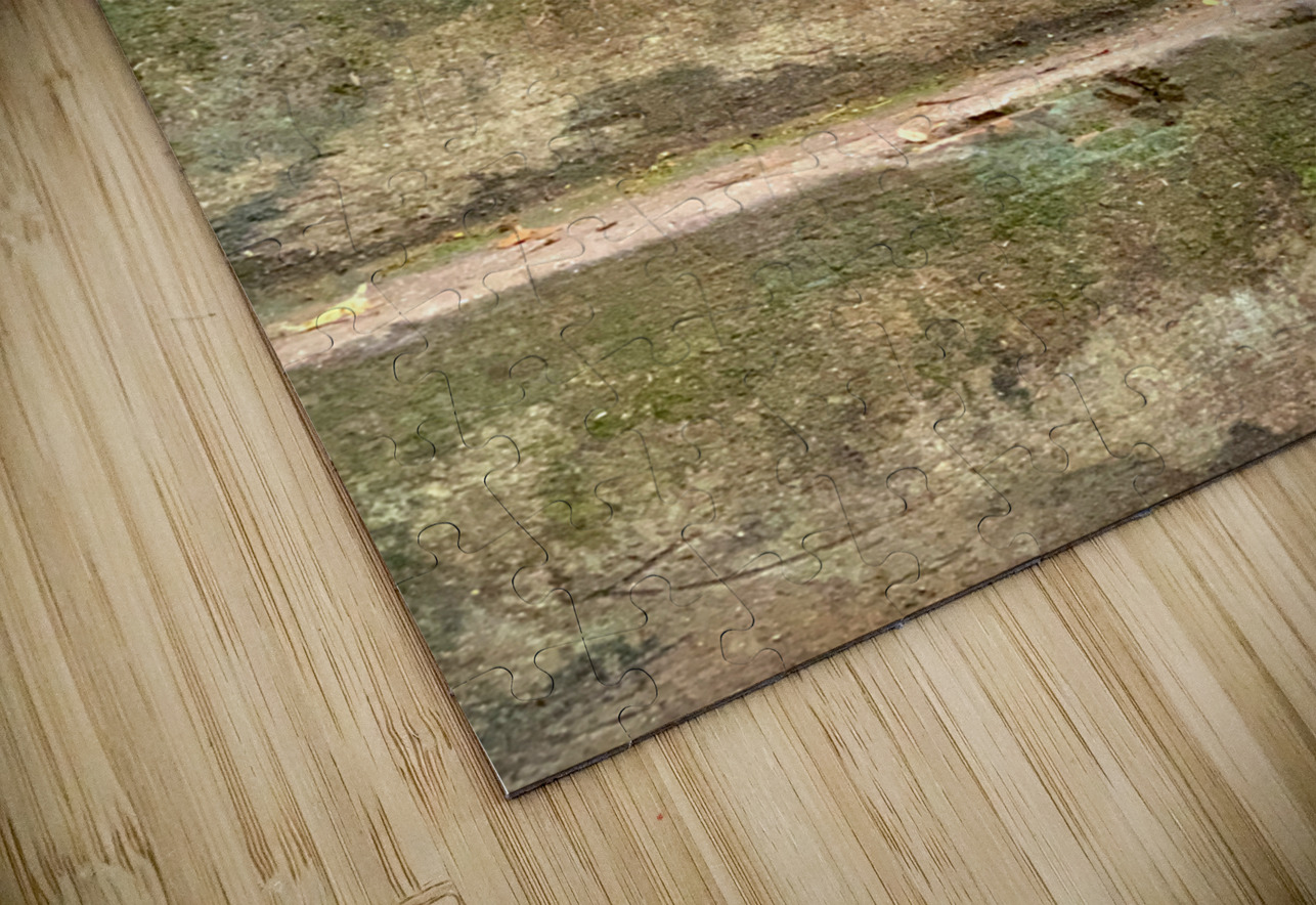 Bird Climbing the Stairs Jimmy Roy Photos Puzzle