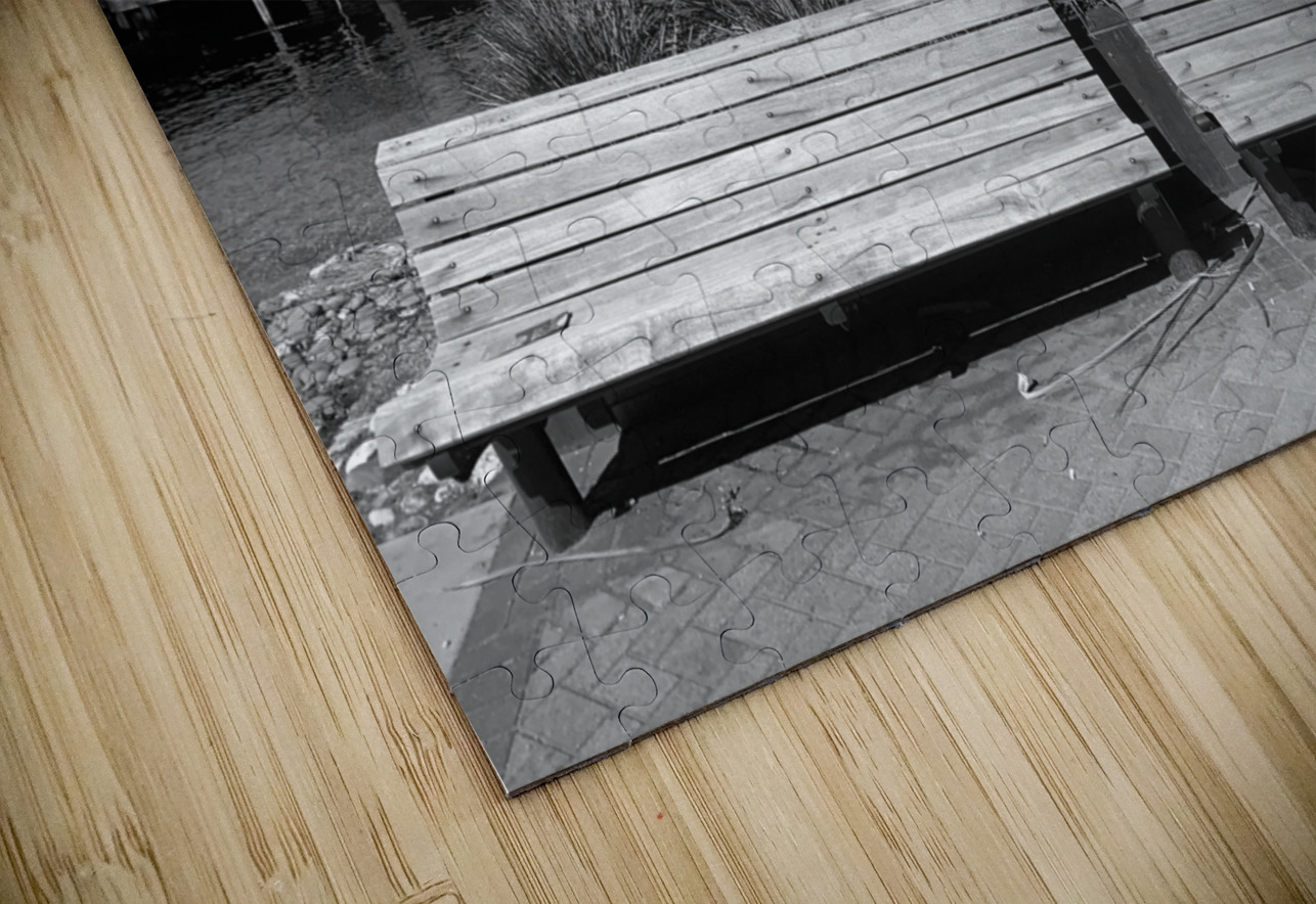 BW Reading on Twin Benches Jimmy Roy Photos Puzzle