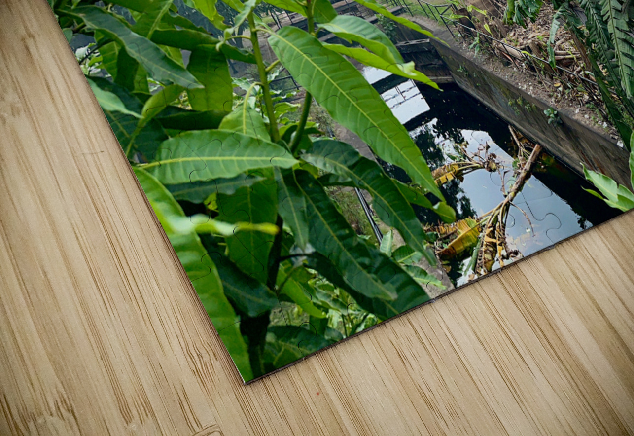 Around Colombo Sri Lanka Jimmy Roy Photos Puzzle