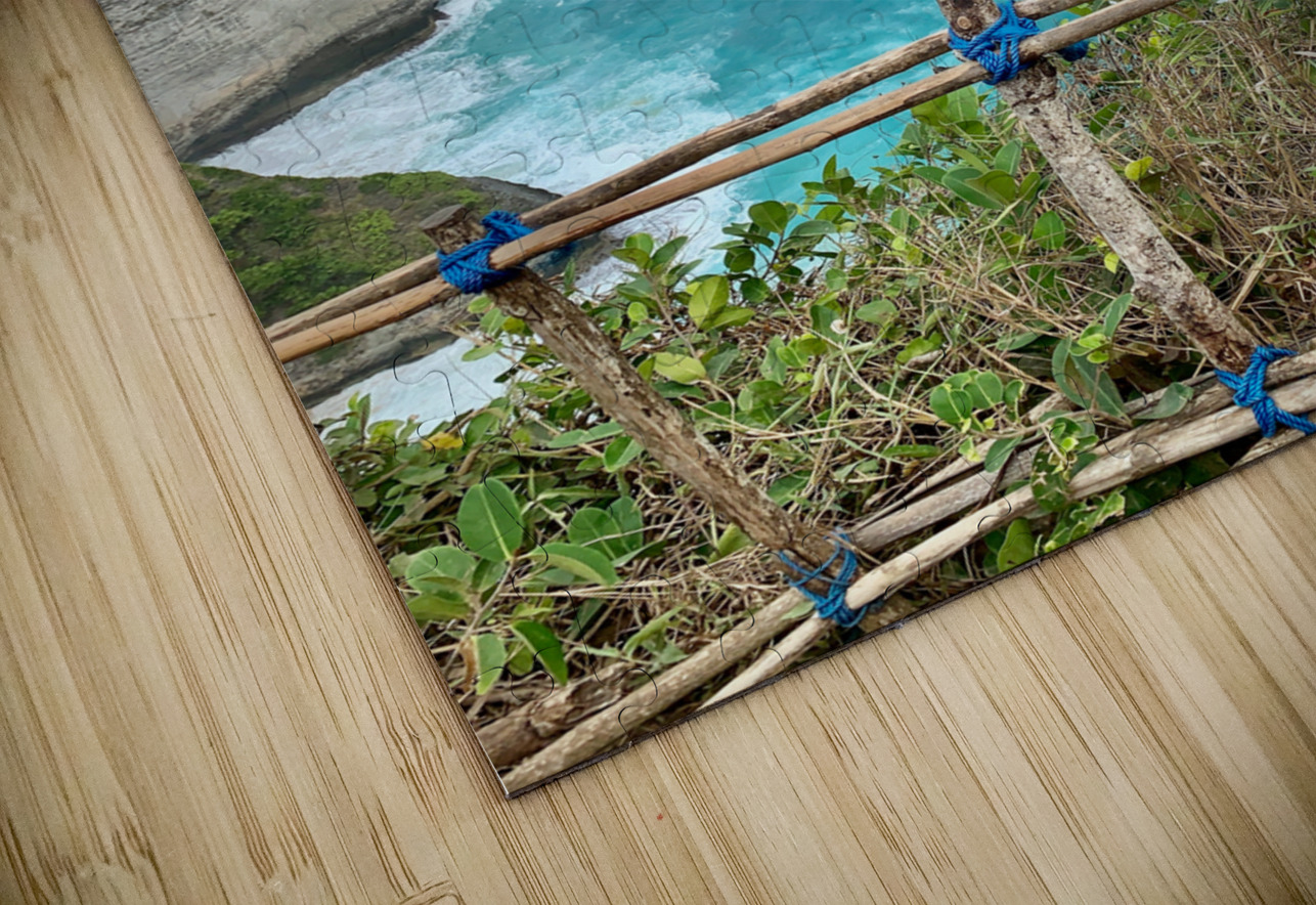 Last Monkey Standing Jimmy Roy Photos Puzzle