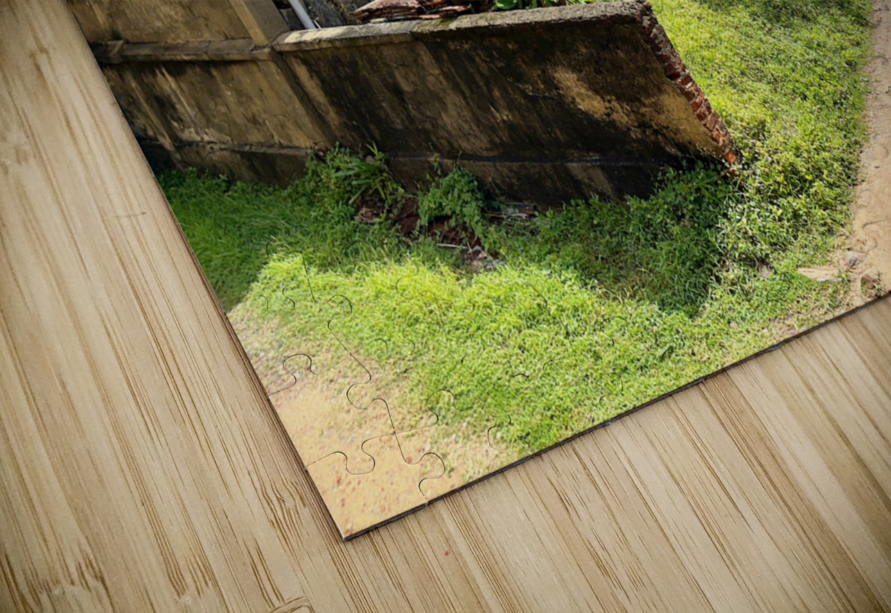 House in Galle Sri Lanka Jimmy Roy Photos Puzzle