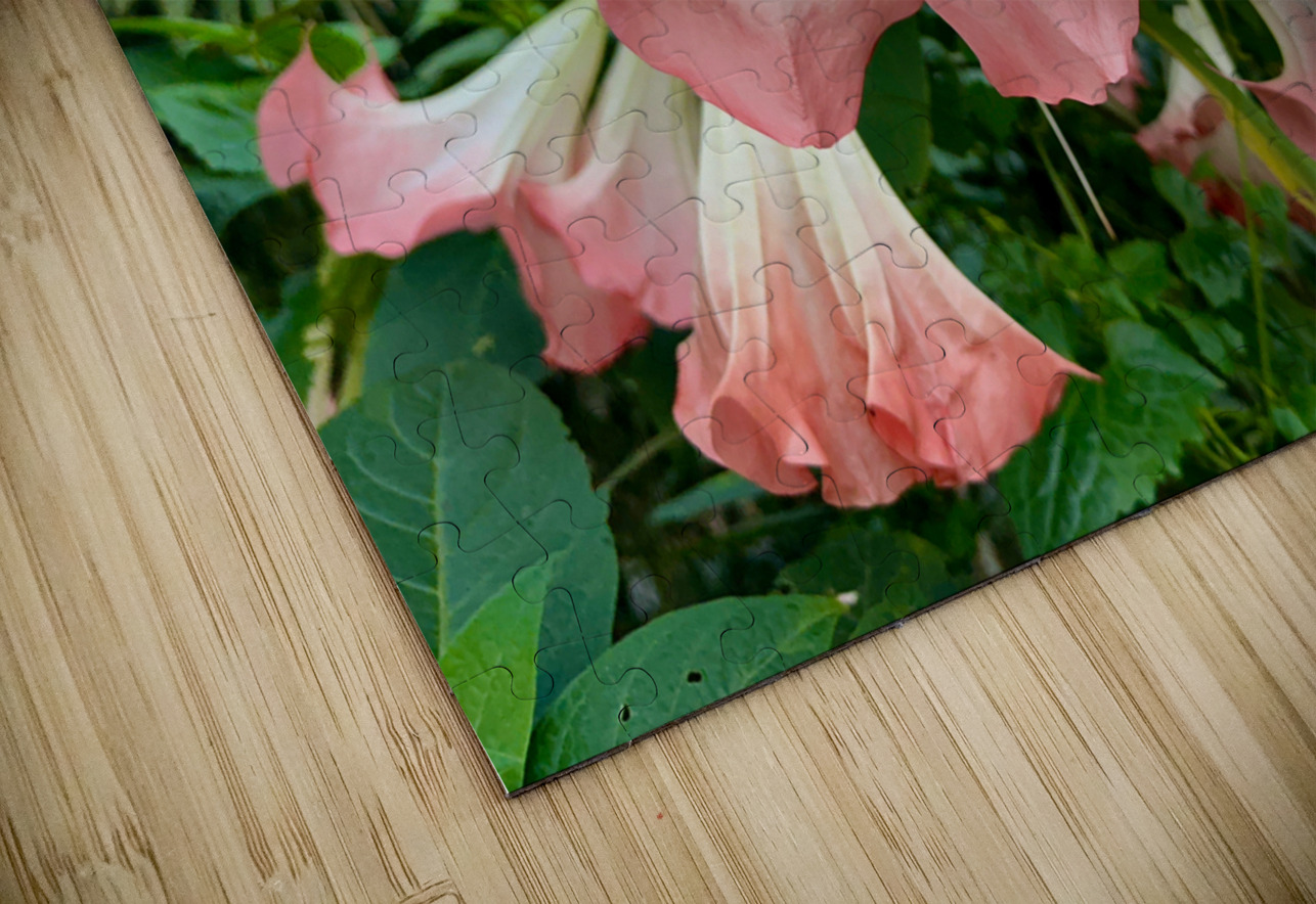 Pink Bell Flowers Jimmy Roy Photos Puzzle