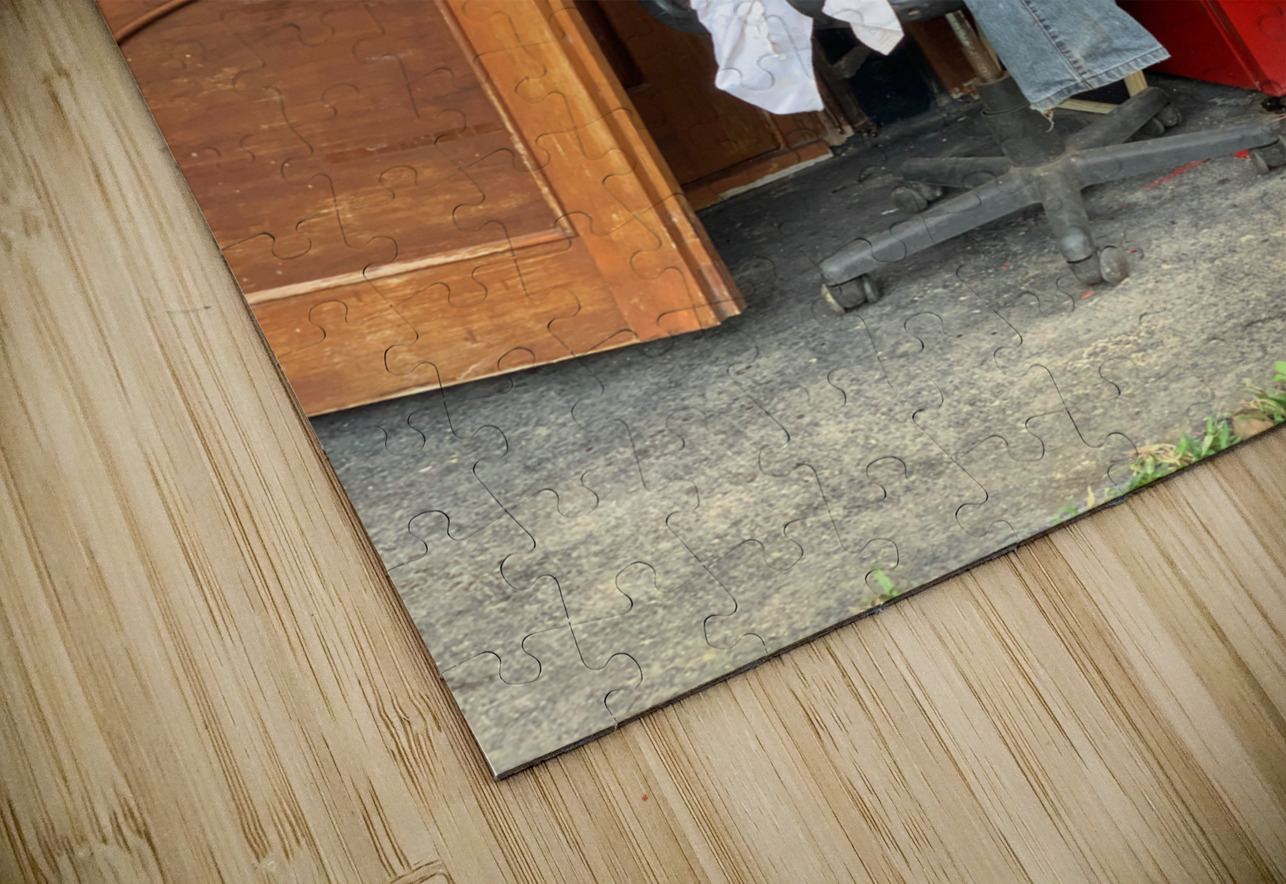 The Red Fridge and the Dog 2 Jimmy Roy Photos Puzzle