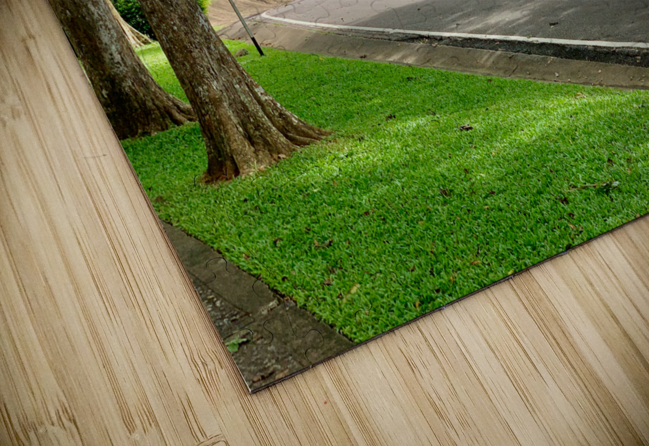 Road to Khao Sok Lake Thailand Jimmy Roy Photos Puzzle