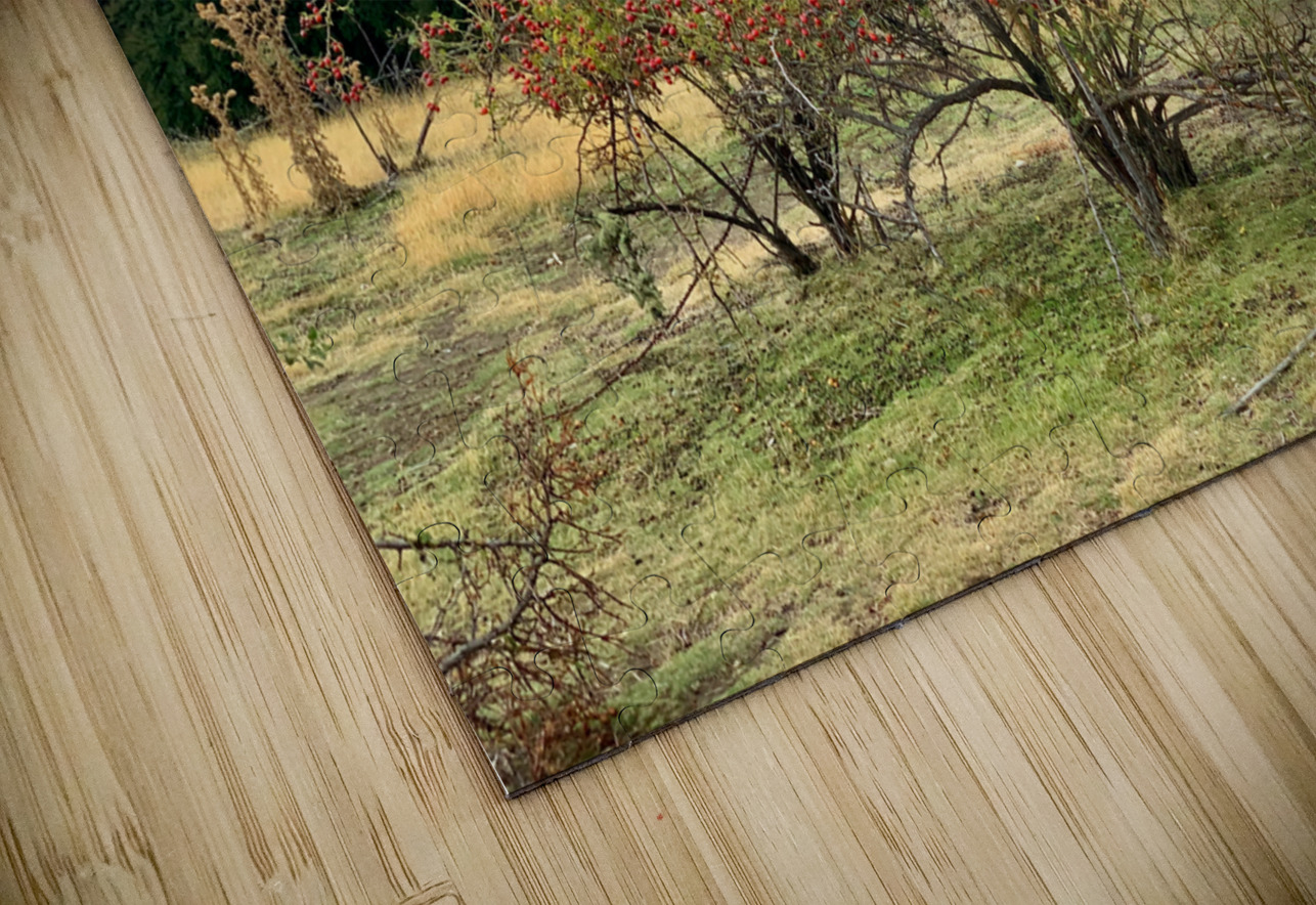 View From Mount Iron New Zealand After a Storm 6. Jimmy Roy Photos Puzzle