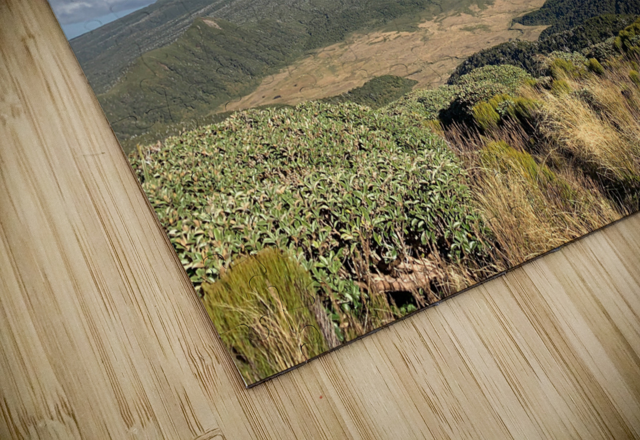 Mount Taranaki New Zealand 4 Jimmy Roy Photos Puzzle