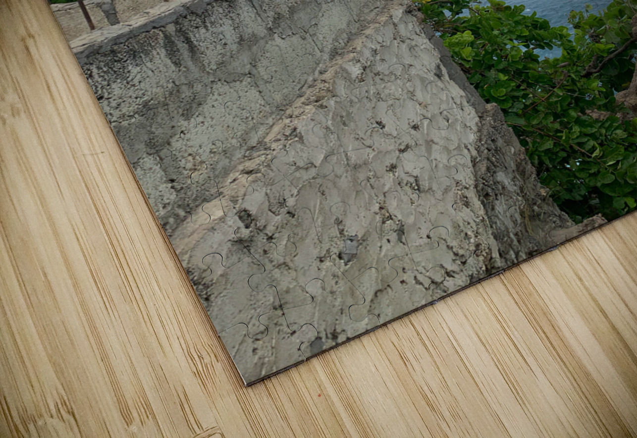 The Tree  The Wall Jimmy Roy Photos Puzzle