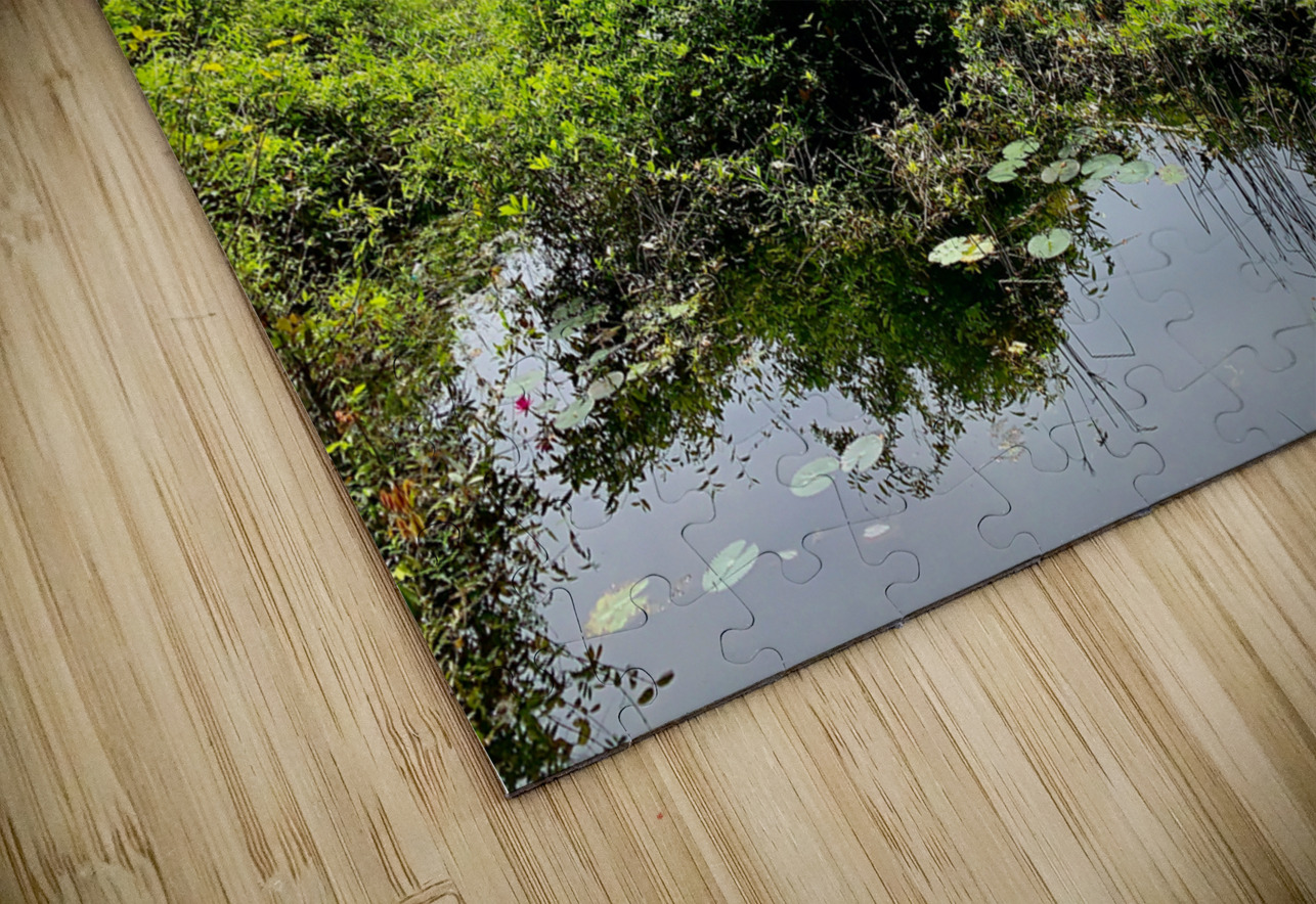 Wetland and Mountains Jimmy Roy Photos Puzzle