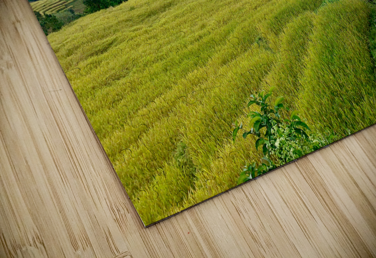Village in the Rice Fields 3 Jimmy Roy Photos Puzzle
