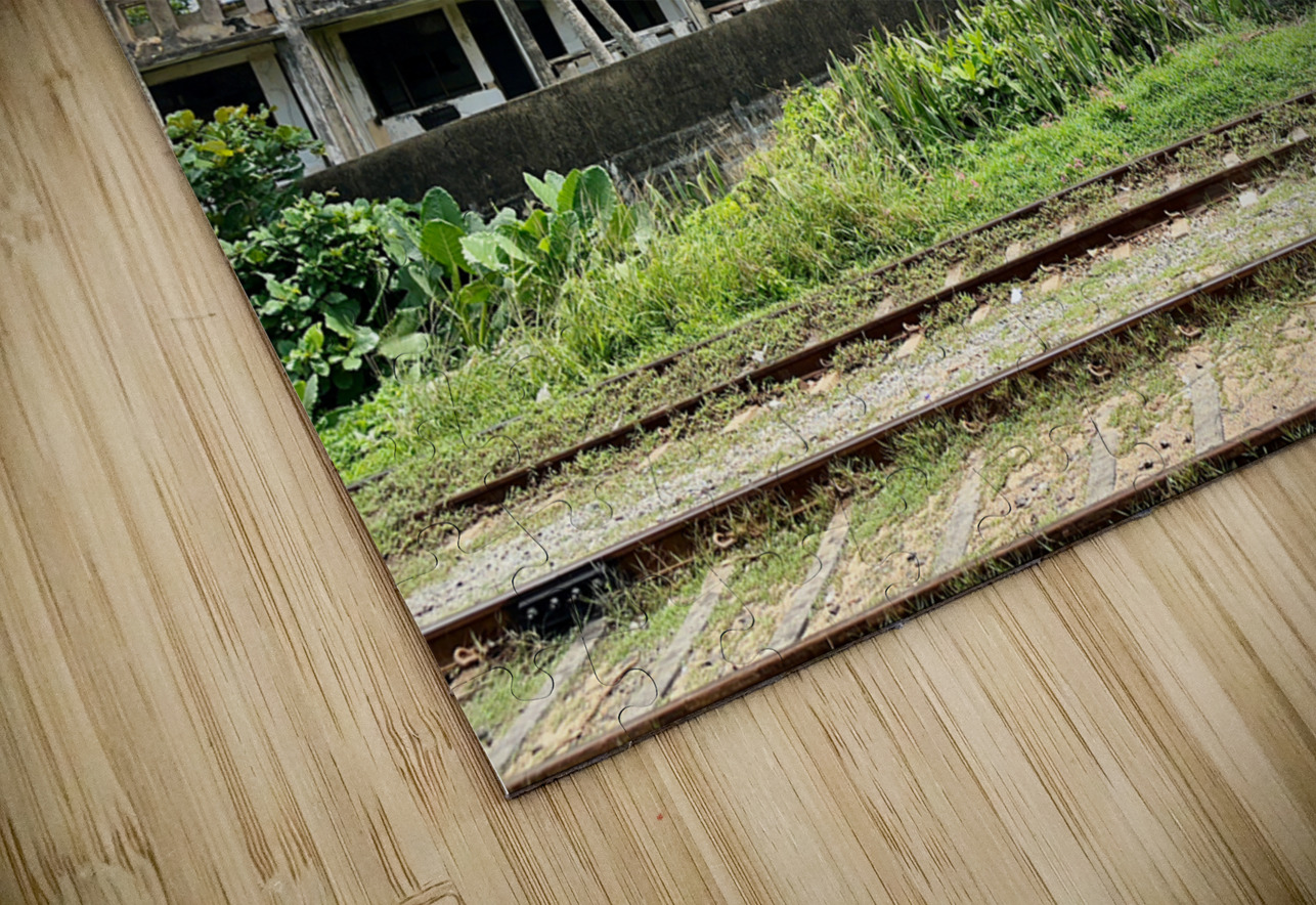 Abandoned Building with Palm Trees Jimmy Roy Photos Puzzle