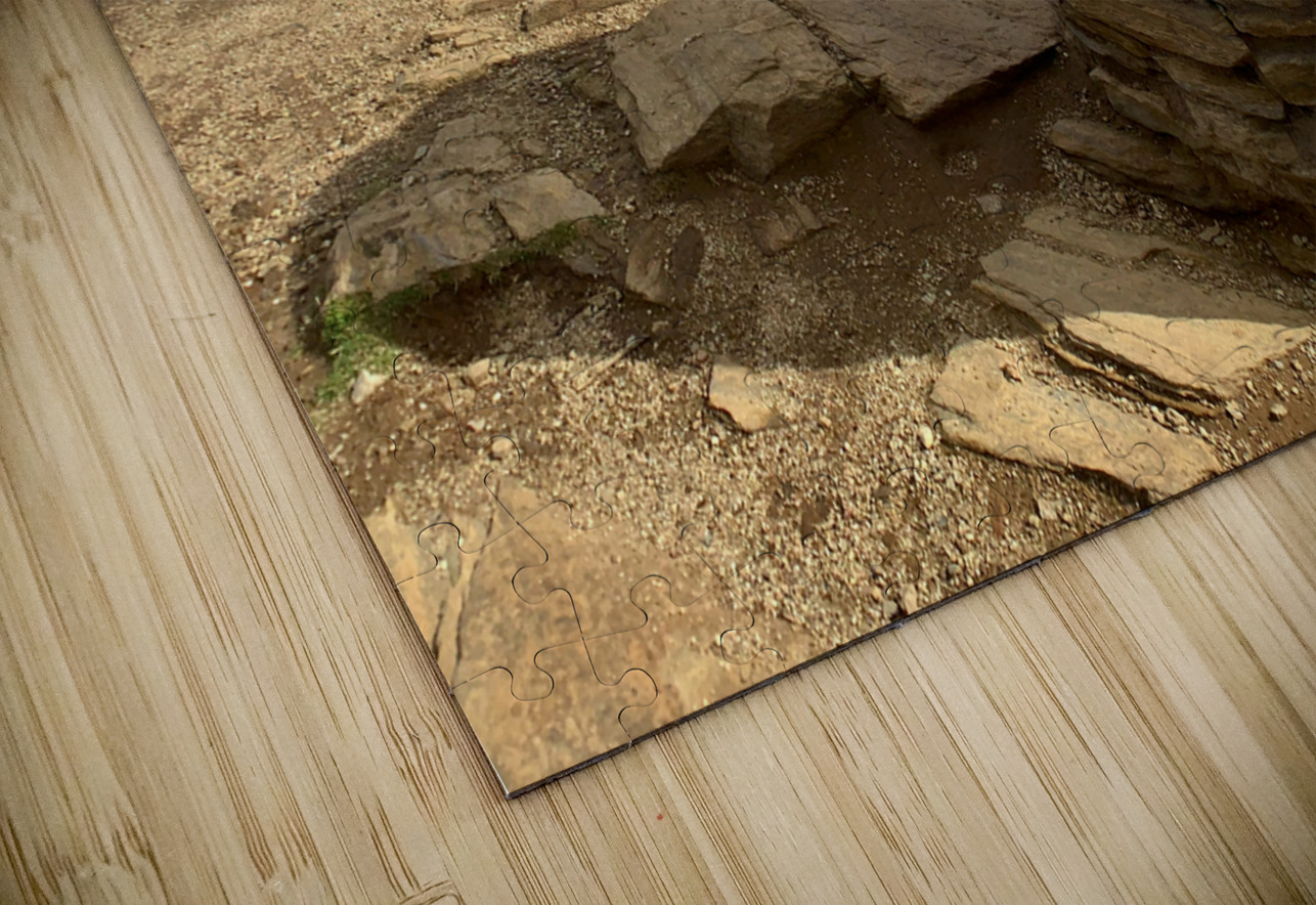 Dog on the Top of Mount Iron New Zealand Jimmy Roy Photos Puzzle