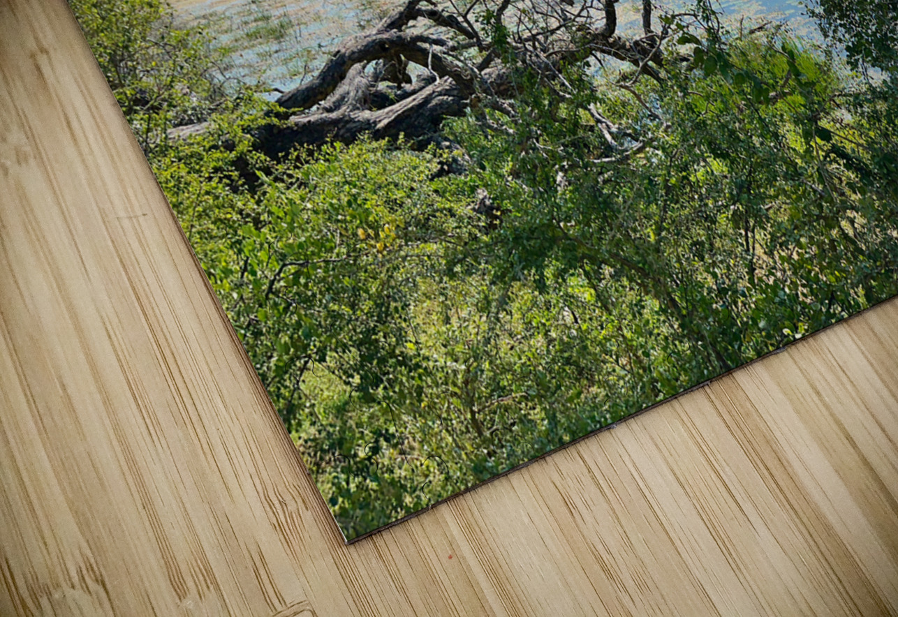 Yala National Park Sri Lanka 3 Jimmy Roy Photos Puzzle