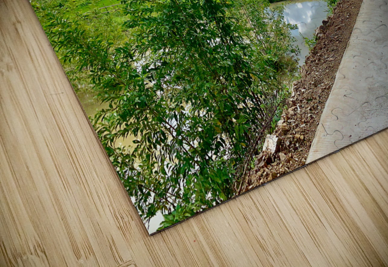 Riding by the Rice Fields Jimmy Roy Photos Puzzle