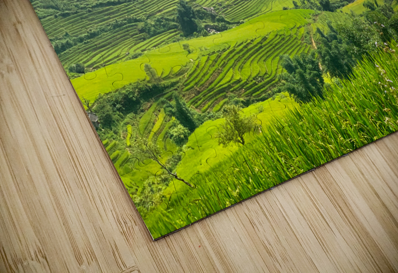 Rice Fields in Sapa 1 Jimmy Roy Photos Puzzle