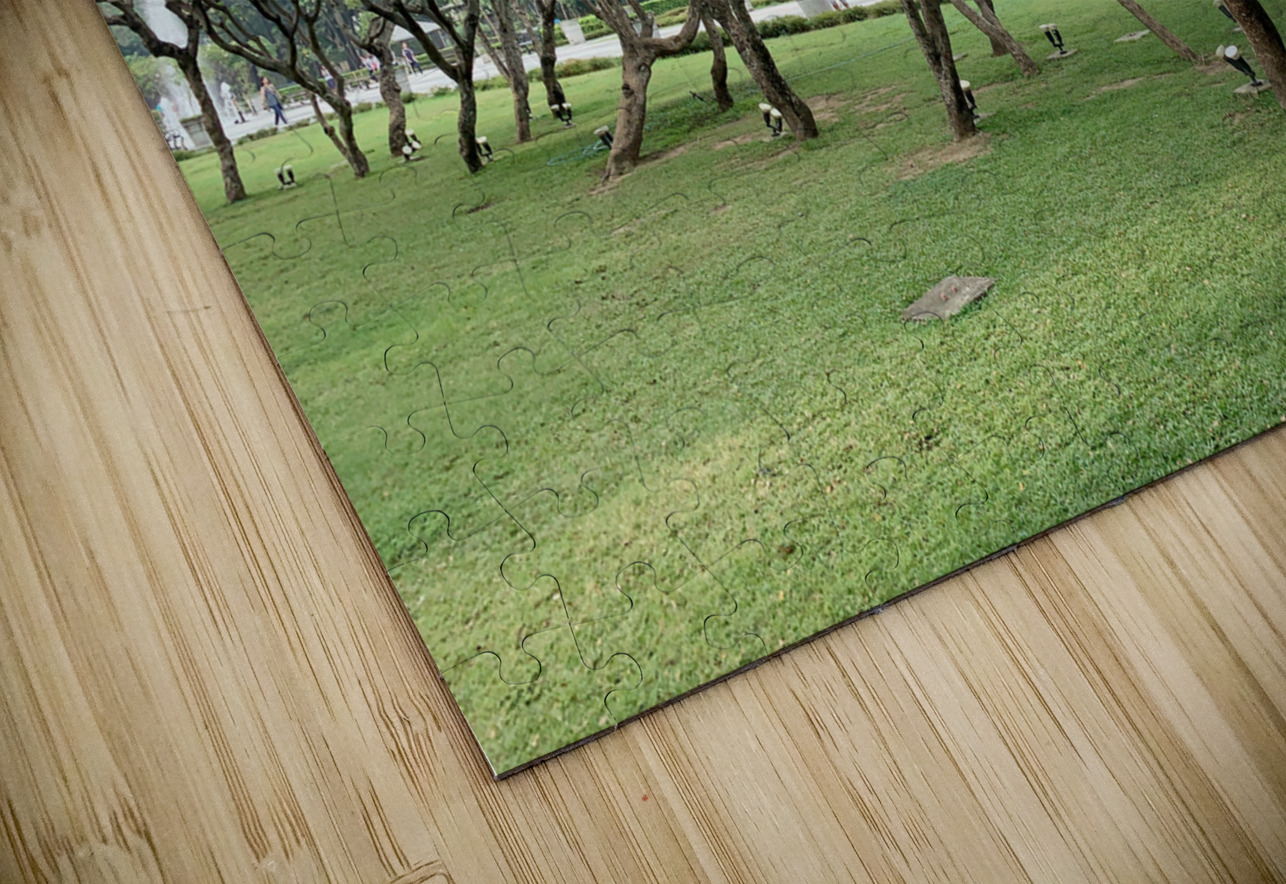 Tree in Line Jimmy Roy Photos Puzzle