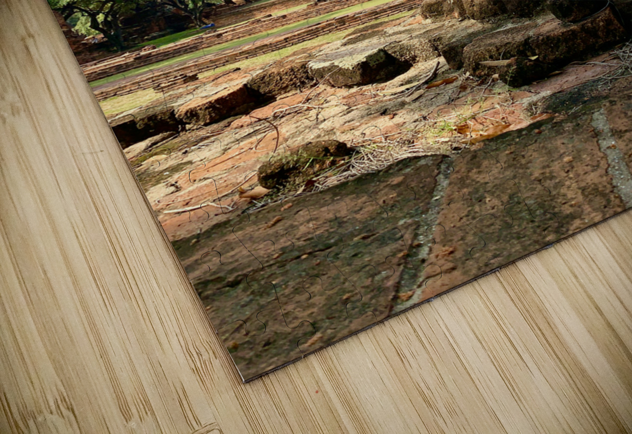 Ayutthaya Historical Park Temples 5 Jimmy Roy Photos Puzzle