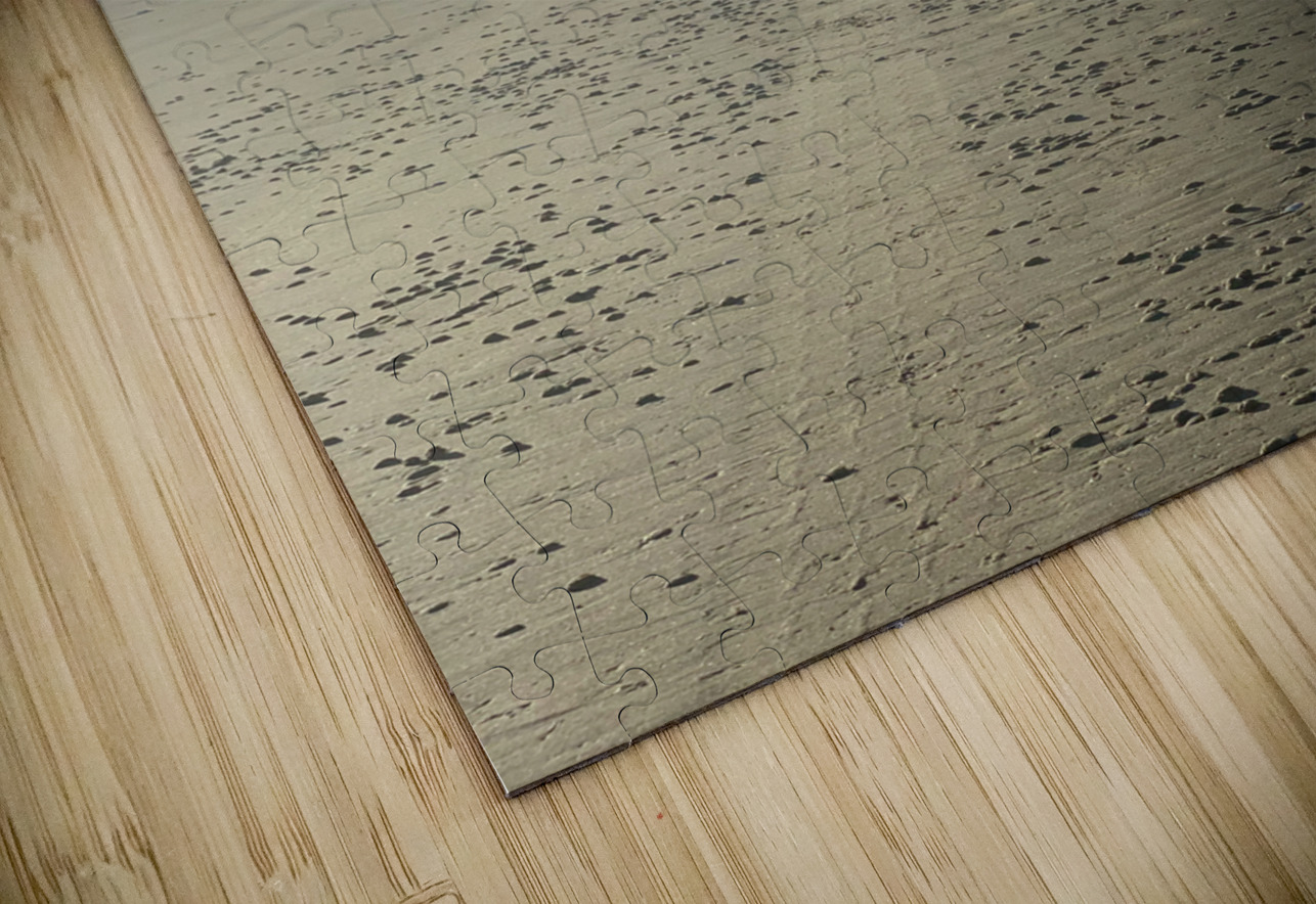 Alone on the Beach 2 Jimmy Roy Photos Puzzle