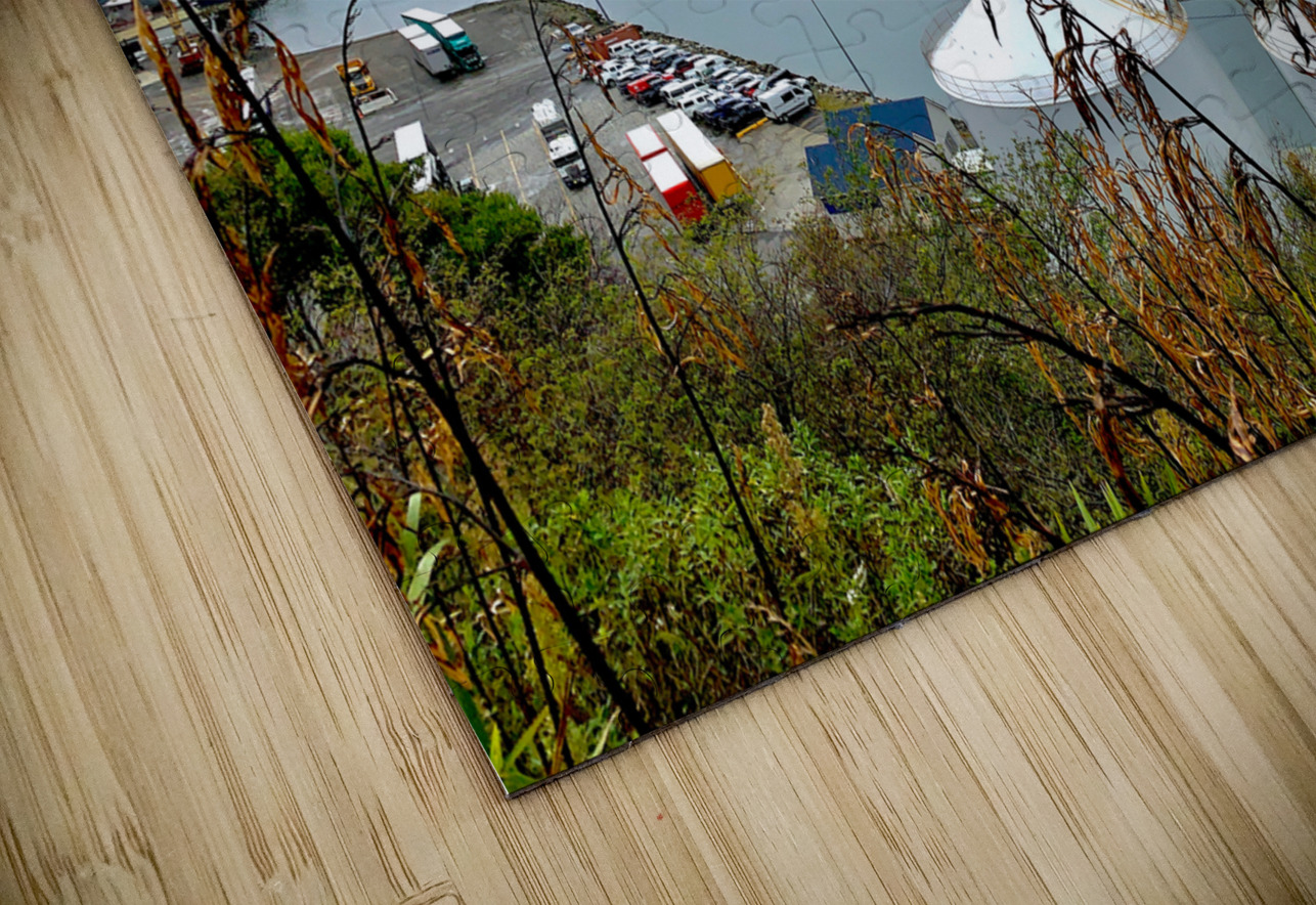 Pictons Ferry New Zealand Jimmy Roy Photos Puzzle