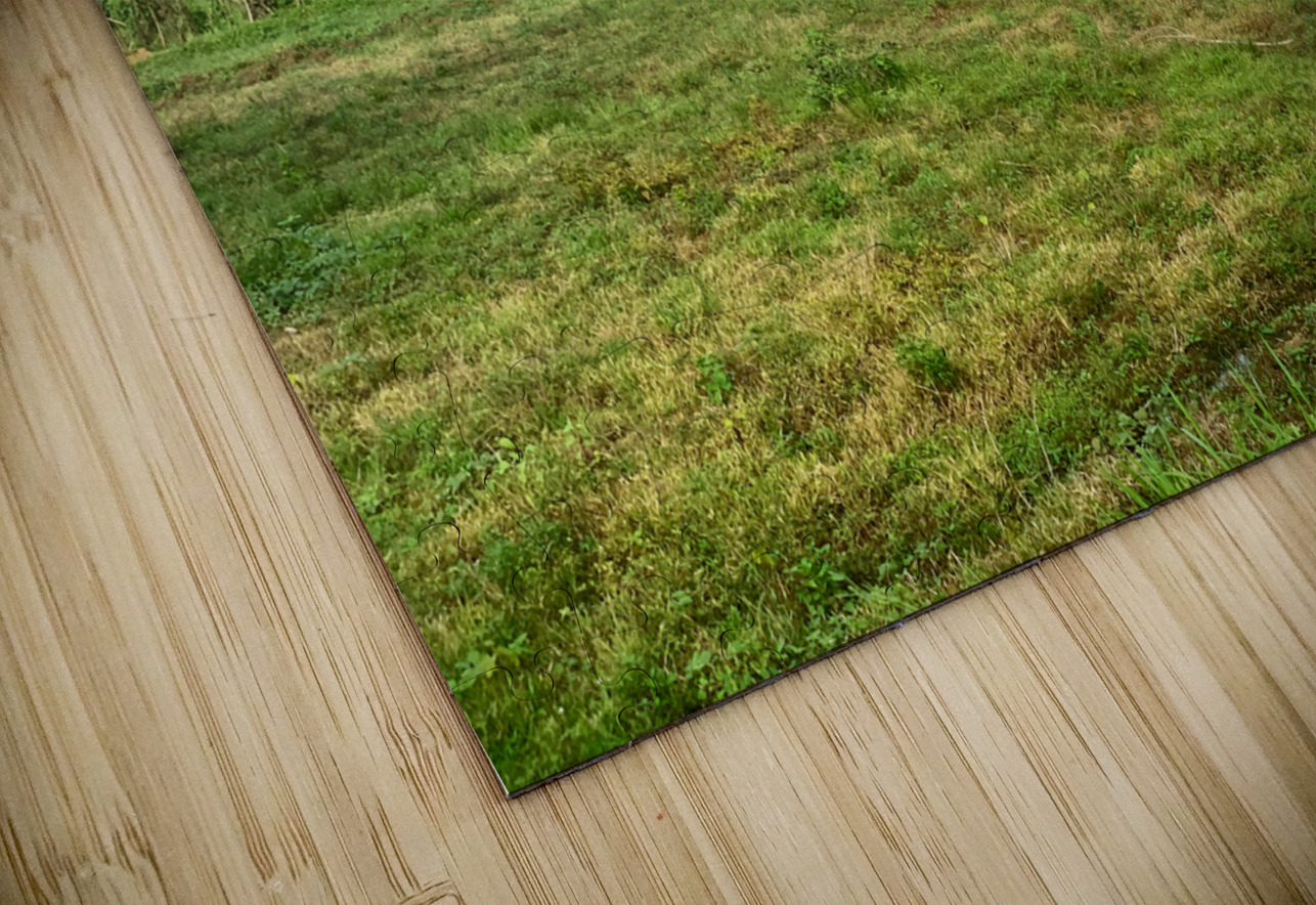 House on the Farm in the Philippines 2 Jimmy Roy Photos Puzzle