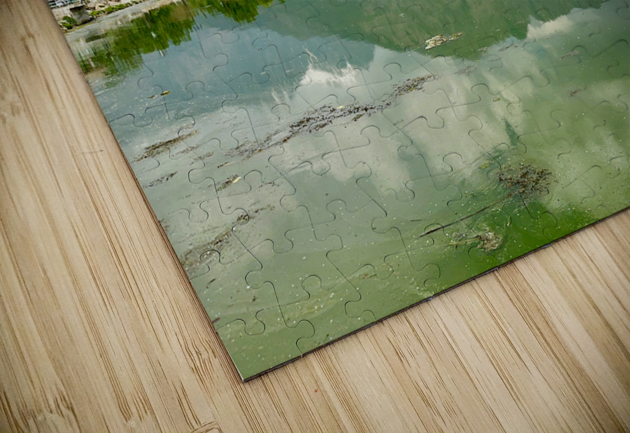 Dal Lake Srinagar 4 Jimmy Roy Photos Puzzle