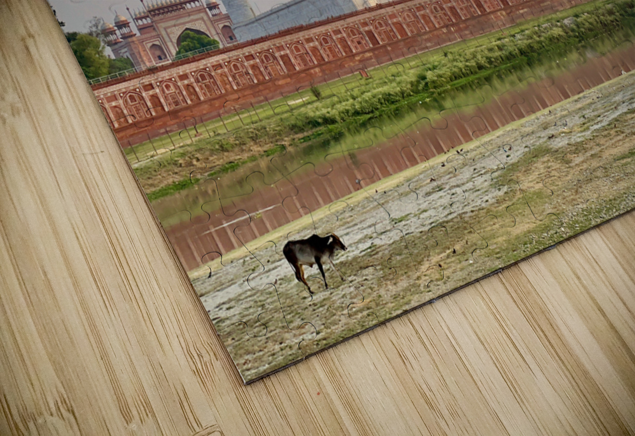 The Taj Mahal Collection 12 Jimmy Roy Photos Puzzle