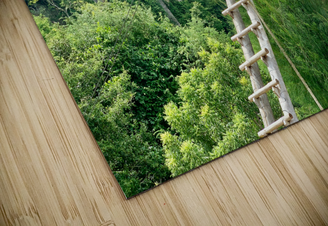 The Treehouse 2 Jimmy Roy Photos Puzzle