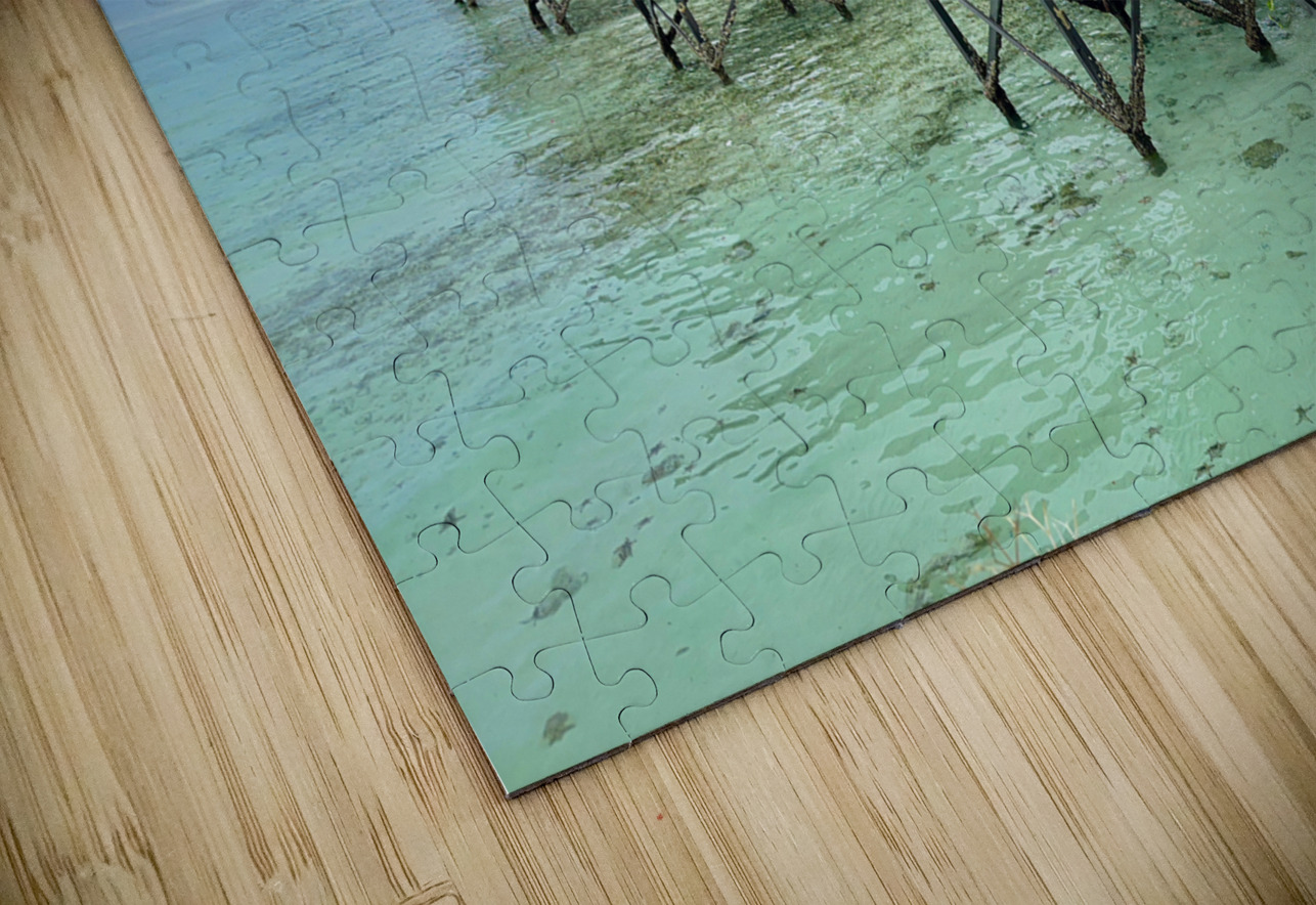 Maboul Island 1 Jimmy Roy Photos Puzzle