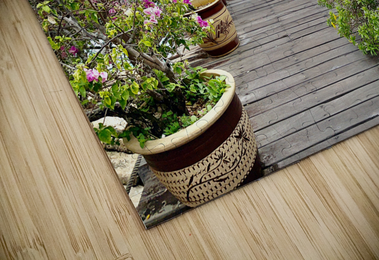 Maboul Island 7 Jimmy Roy Photos Puzzle