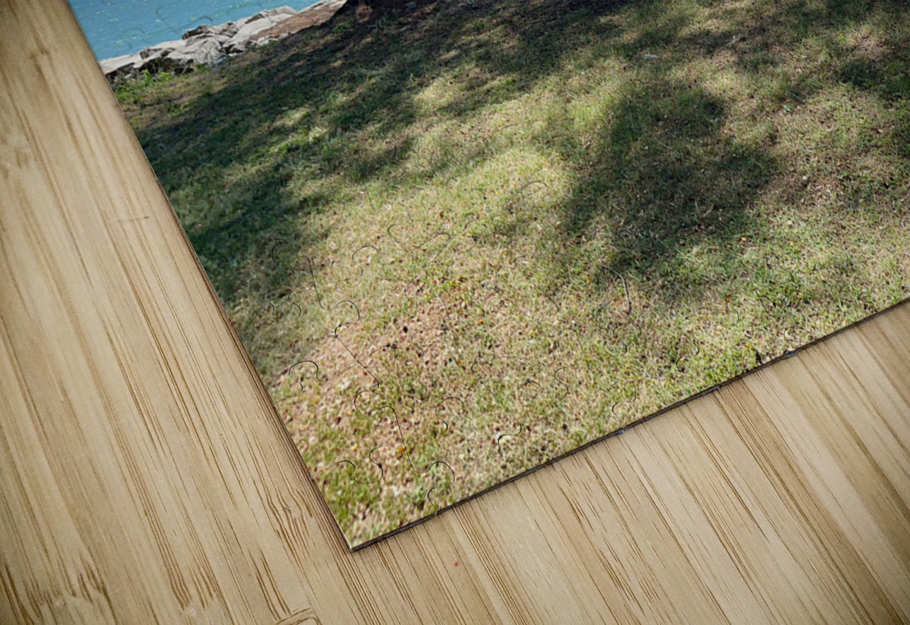 The Empire Brunei 10 Jimmy Roy Photos Puzzle