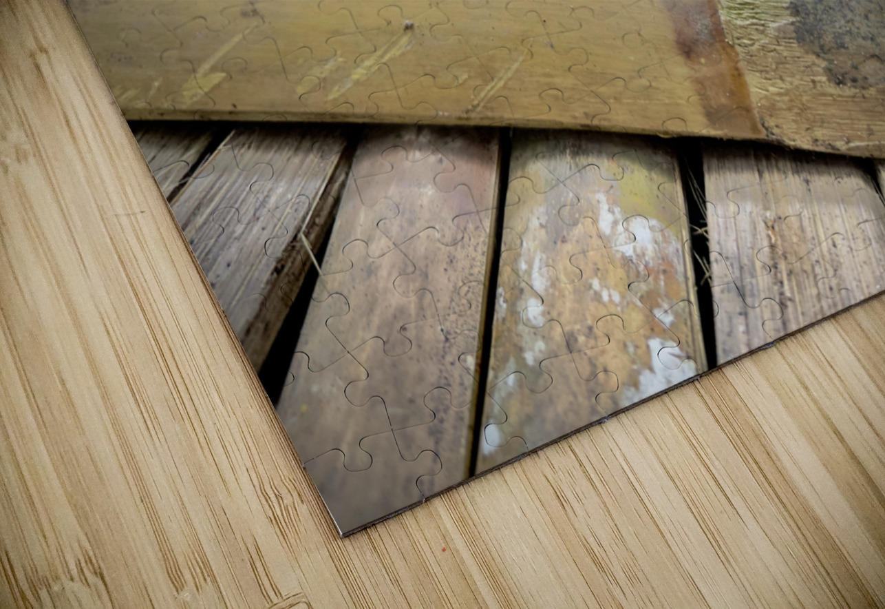 The Lizard Munduk Bali Jimmy Roy Photos Puzzle