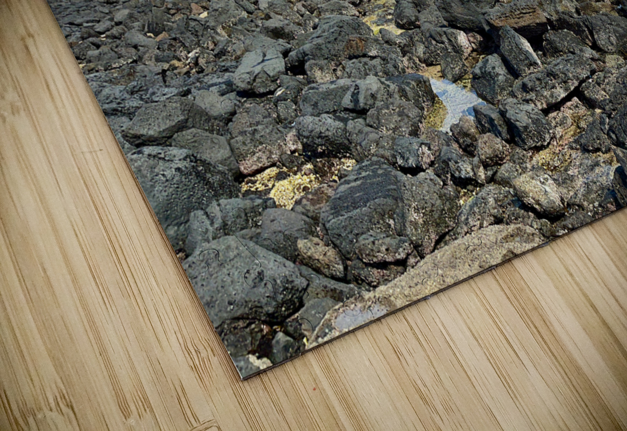 Black Rocks Lighthouse Udo South Korea Jimmy Roy Photos Puzzle