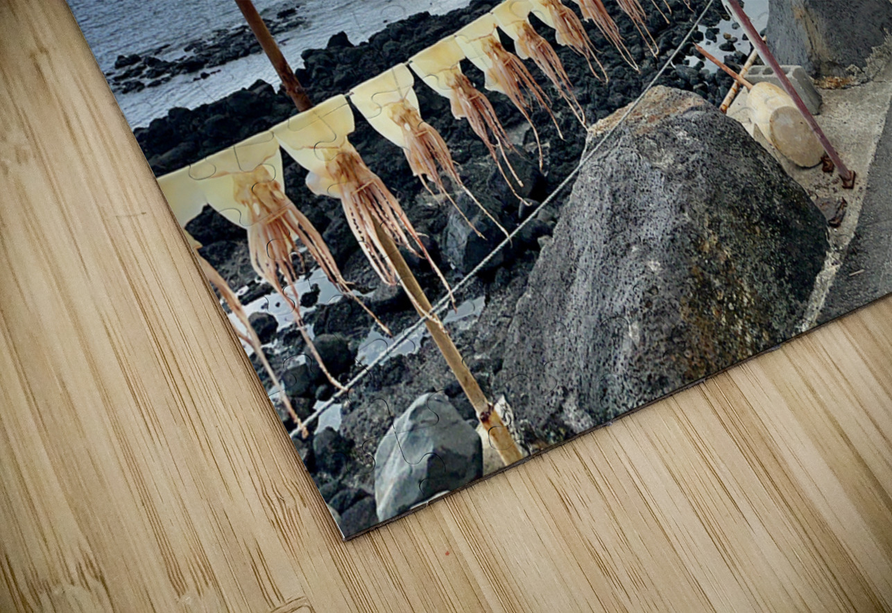 Squids on the Line Jeju South Korea Jimmy Roy Photos Puzzle