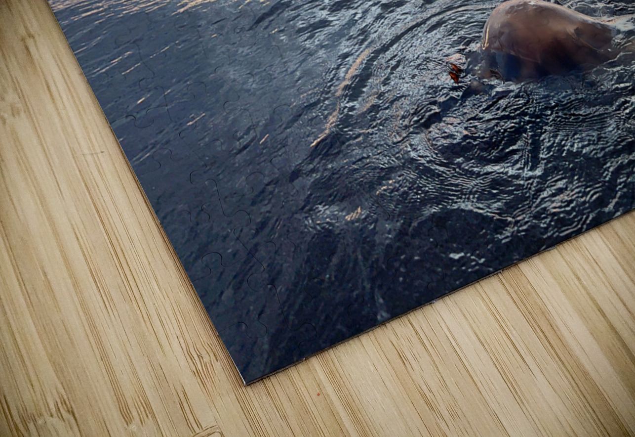 Samyang Beach Sunset Jeju South Korea 6 Jimmy Roy Photos Puzzle