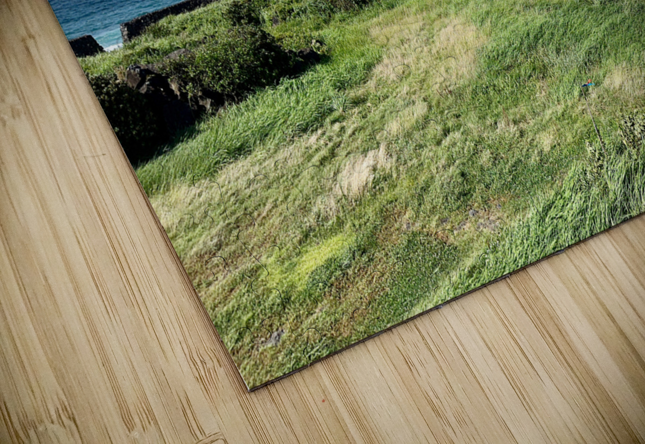 The Calm Jeju South Korea Jimmy Roy Photos Puzzle