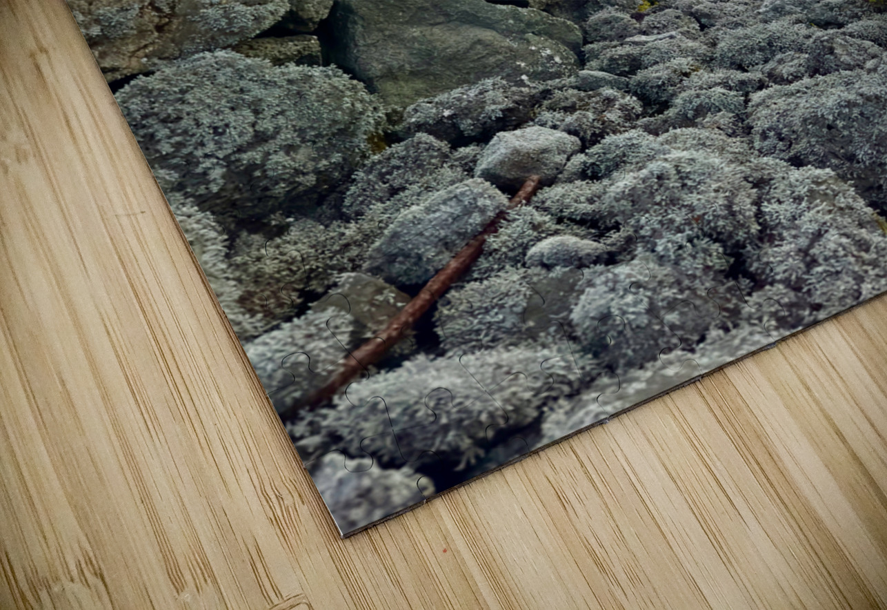 Stone Park Jeju South Korea 7 Jimmy Roy Photos Puzzle