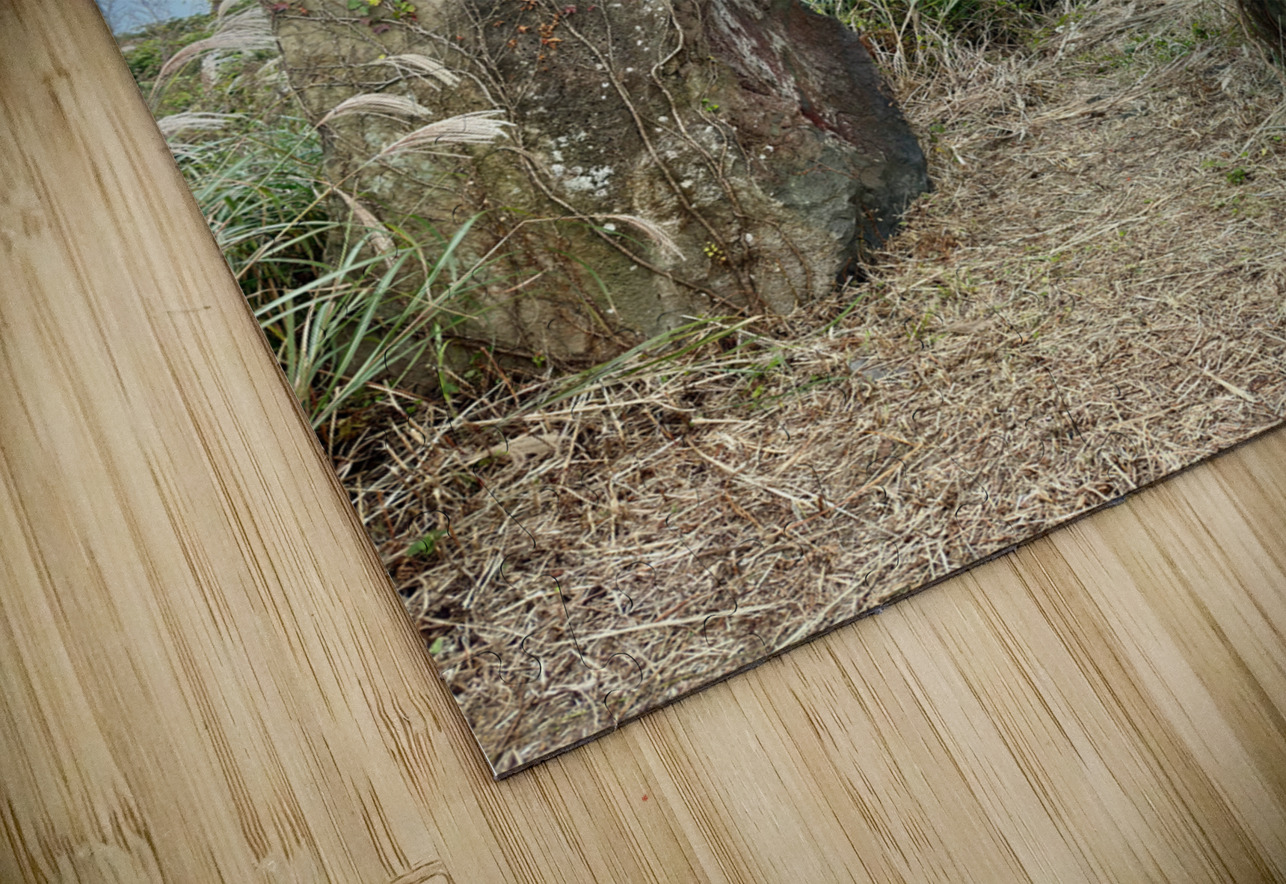 Stone Park Jeju South Korea 8 Jimmy Roy Photos Puzzle