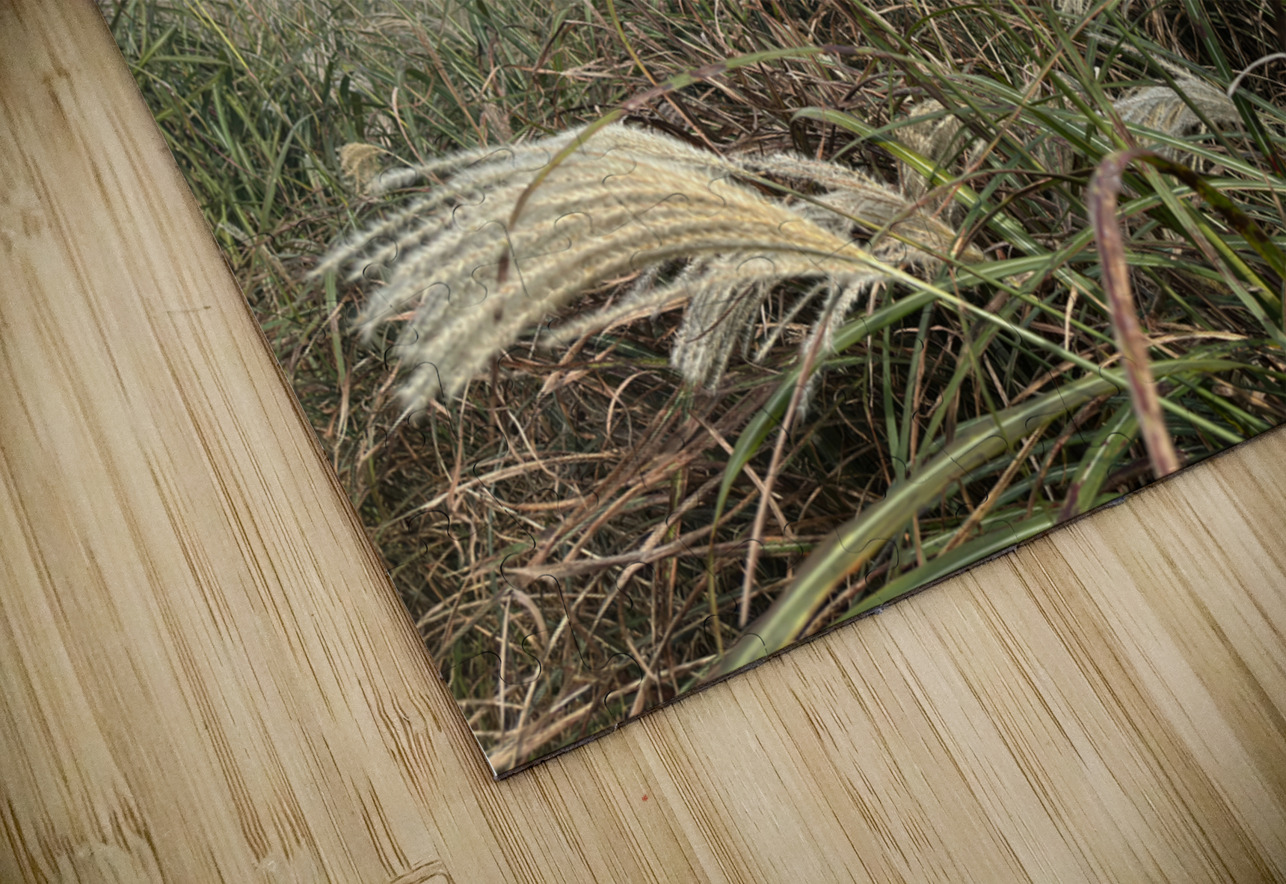 Stone Park Jeju South Korea 1 Jimmy Roy Photos Puzzle