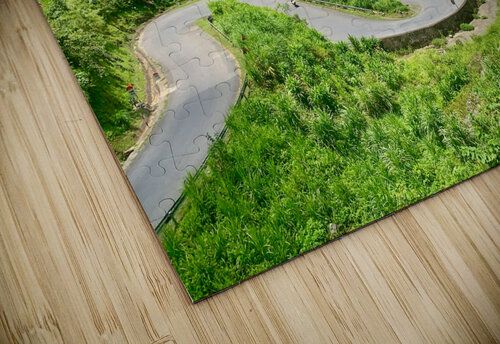 S Road Jimmy Roy Photos puzzle