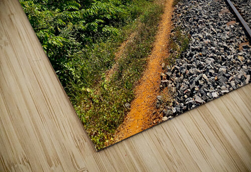 On the track Jimmy Roy Photos puzzle