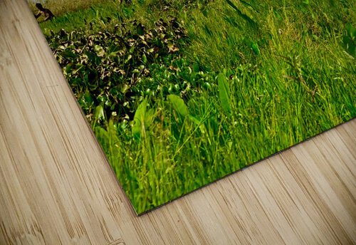 Working in the Field Jimmy Roy Photos puzzle