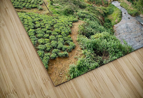 River Through the Tea Plantations Jimmy Roy Photos puzzle
