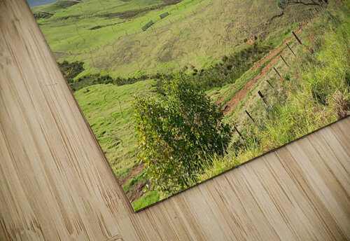 Go Right Jimmy Roy Photos puzzle