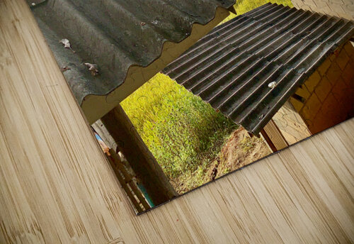 Rice Fields Village Jimmy Roy Photos puzzle